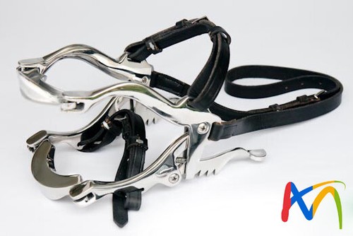 Millenium speculum equine - millenium,