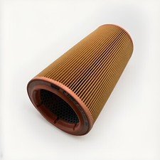 C1394/1 Mann Air Filter Alpine