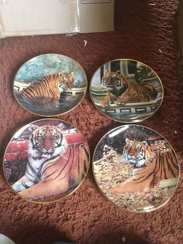 Tiger decorative wall - decorative, plates