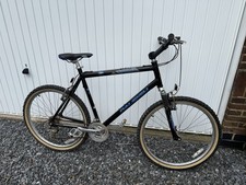 Raleigh Men’s Europa Bike