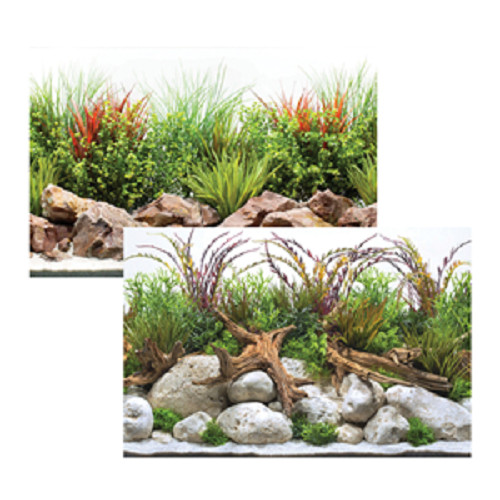 Seaview coastal crisp - seaview, /
