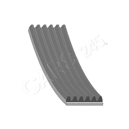 Ribbed belt blue print fits - belt,
