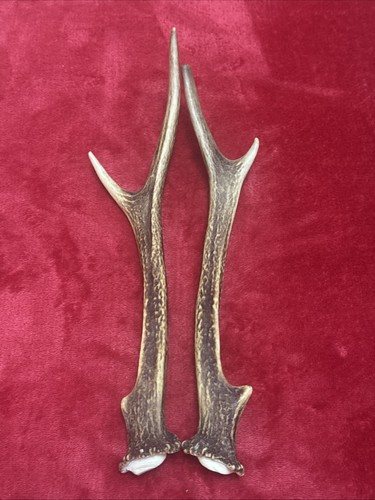 Pair sika deer antlers - deer,
