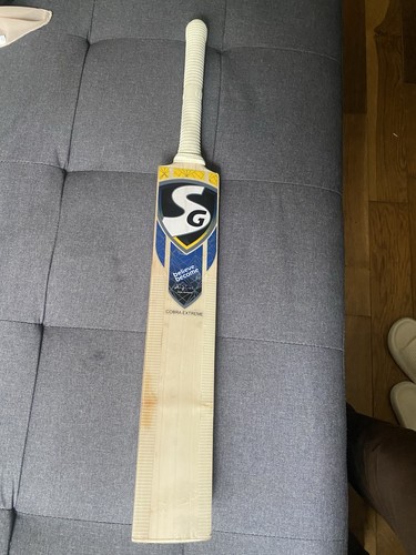 English willow cricket - sg,