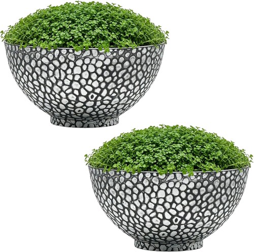 Traders cathay bowl plant - bowl,