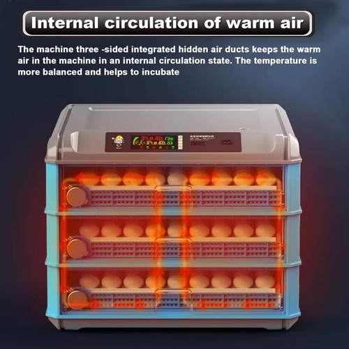 Automatic chicken 192eggs - automatic,