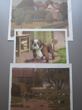 Gertrude Elias, Goat, Bulldog & Magpie, George Orwell, 3 x Animal Paintings