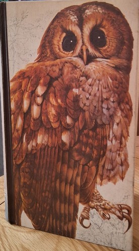 Book british birds drive - by,