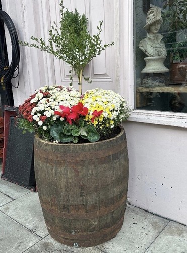 Half whisky barrel 70cm - 3/4,