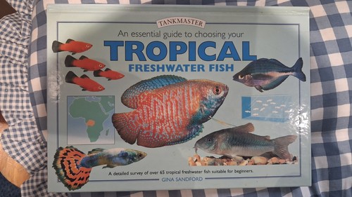 Essential guide choosing - essential,