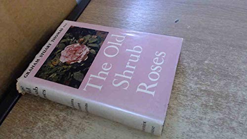 The old shrub roses