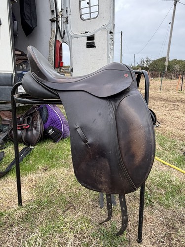 Brown albion dressage - brown,