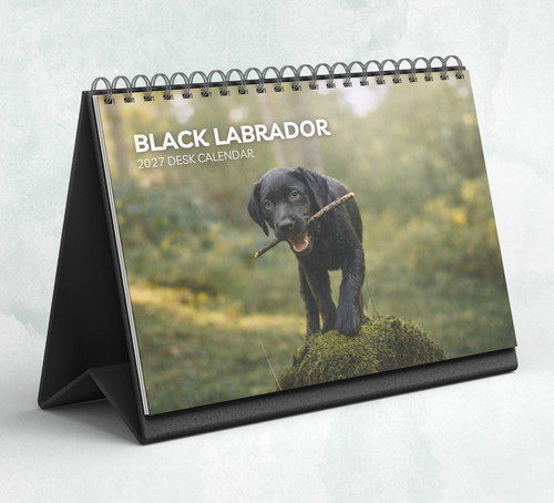 Black labrador desk calendar - black,