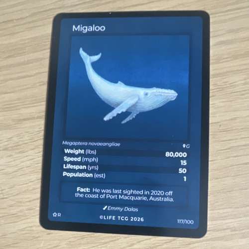 Life tcg 2026 migaloo mammal - life,
