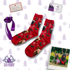 FRENCH BULLDOG CHRISTMAS SOCKS