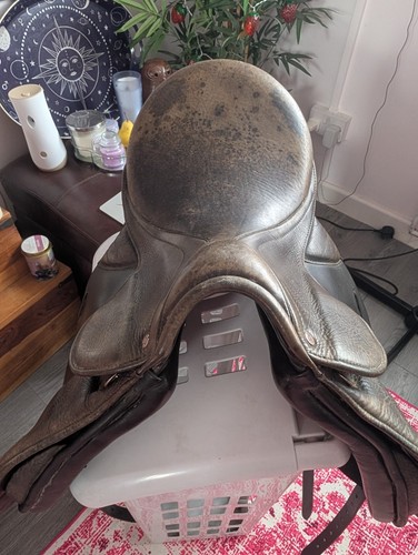 Used leather horse - 17",