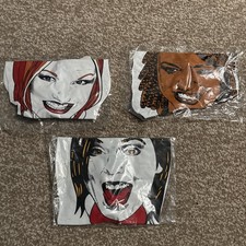 Spice Girls Smash Hits Blow Up