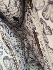 Butterfly explorer Vendula