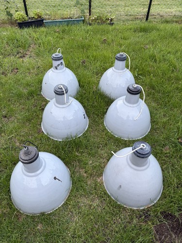 Huge original british - 6,
