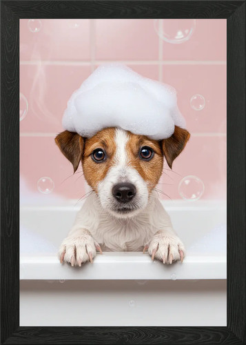 Ack russell terrier - puppy, in