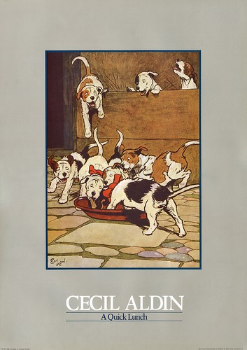 Jack russell parson - russell, hunt
