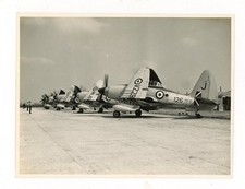 Photograph of Westland Wyvern S.4 Line-Up incl VZ793  126 / J 1956