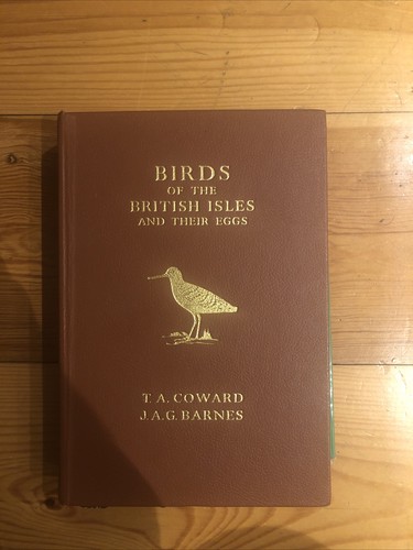 The birds british - birds, isles