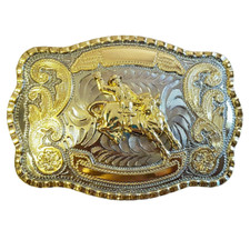 Stunning Western Bull Rider