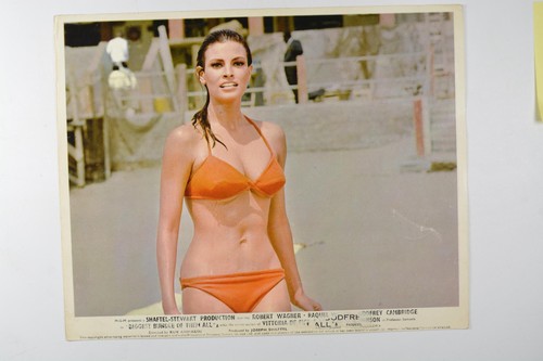 Raquel welch orange - raquel,