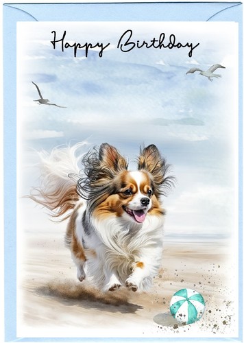 Papillon butterfly dog x - papillon,