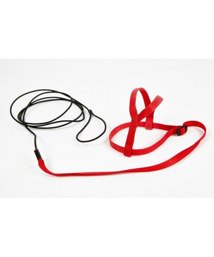 Avian adventure parrot harness - avian,