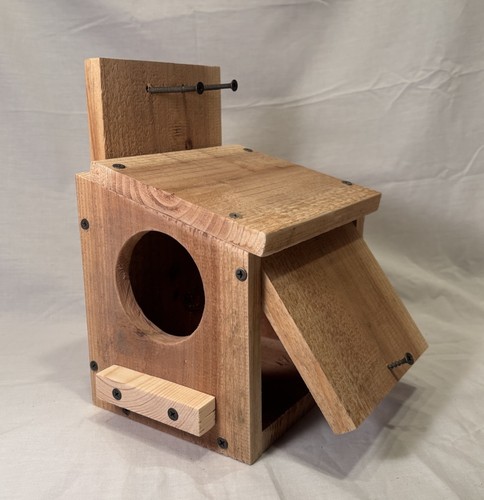 Solid cedar backyard squirrel - solid,