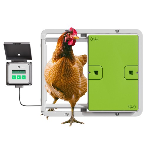 Automatische hühnerstalltür - automatische,