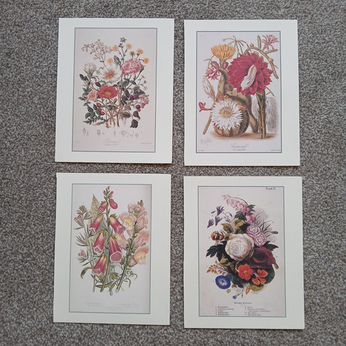 Set garden flowers book - 4,
