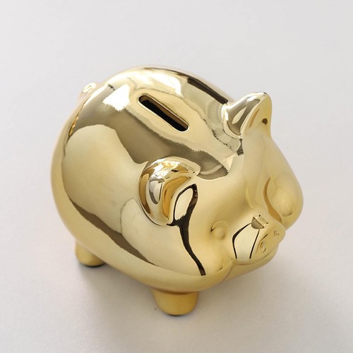 Piggy bank home decoration - piggy,