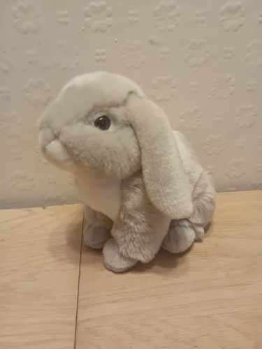 Living nature grey dutch lop - living,