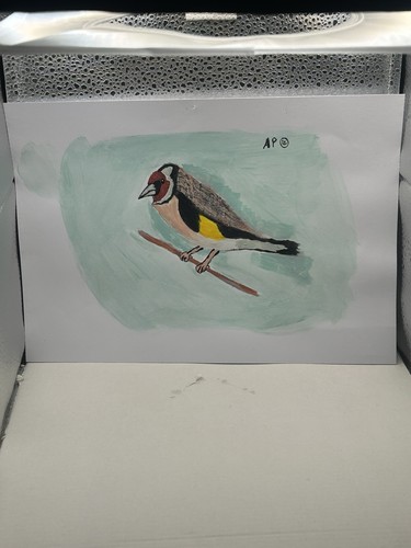 Anthony pitts original - anthony,