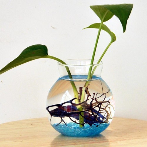 Clear planter vase terrarium - vase,