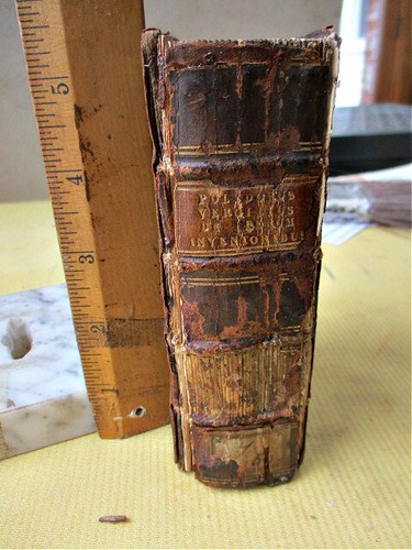 Inventoribus rerum libri - inventoribus,