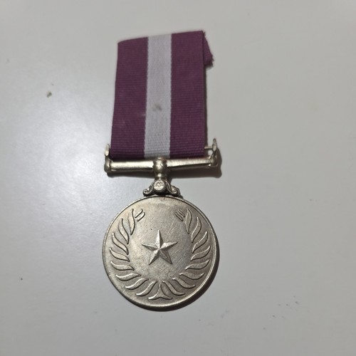Pakistan armed forces - armed, 10