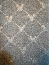 Disney Mickey Mouse Womens