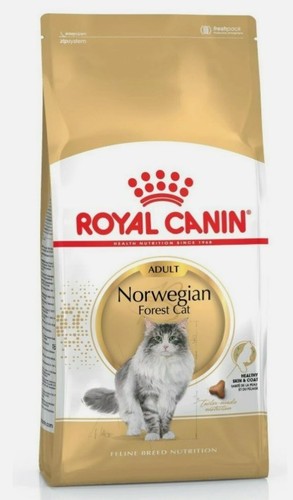 Royal canin norwegian - royal,