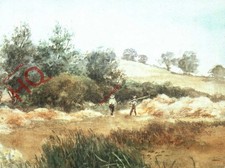 Picture Postcard__Sir Alfred Munnings, Haymaking