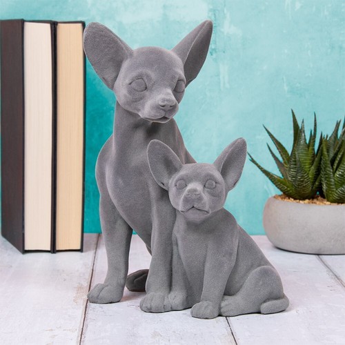 Grey chihuahua dog puppy - chihuahua,