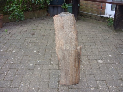 Large driftwood - large,