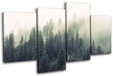 Misty Forest Nature Landscapes