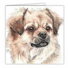 Tibetan spaniel card waggydogz