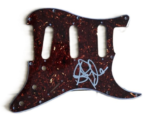 Guitar scratchplate hand - guitar,