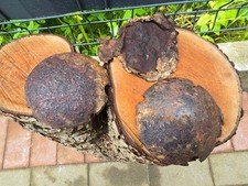 WW1 Accessories from the