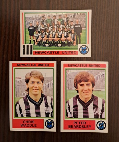 Panini football newcastle - panini, 85